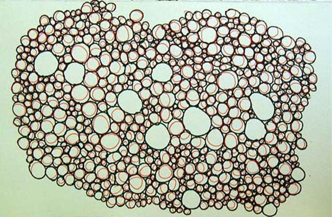 Circles 1