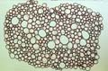 Circles